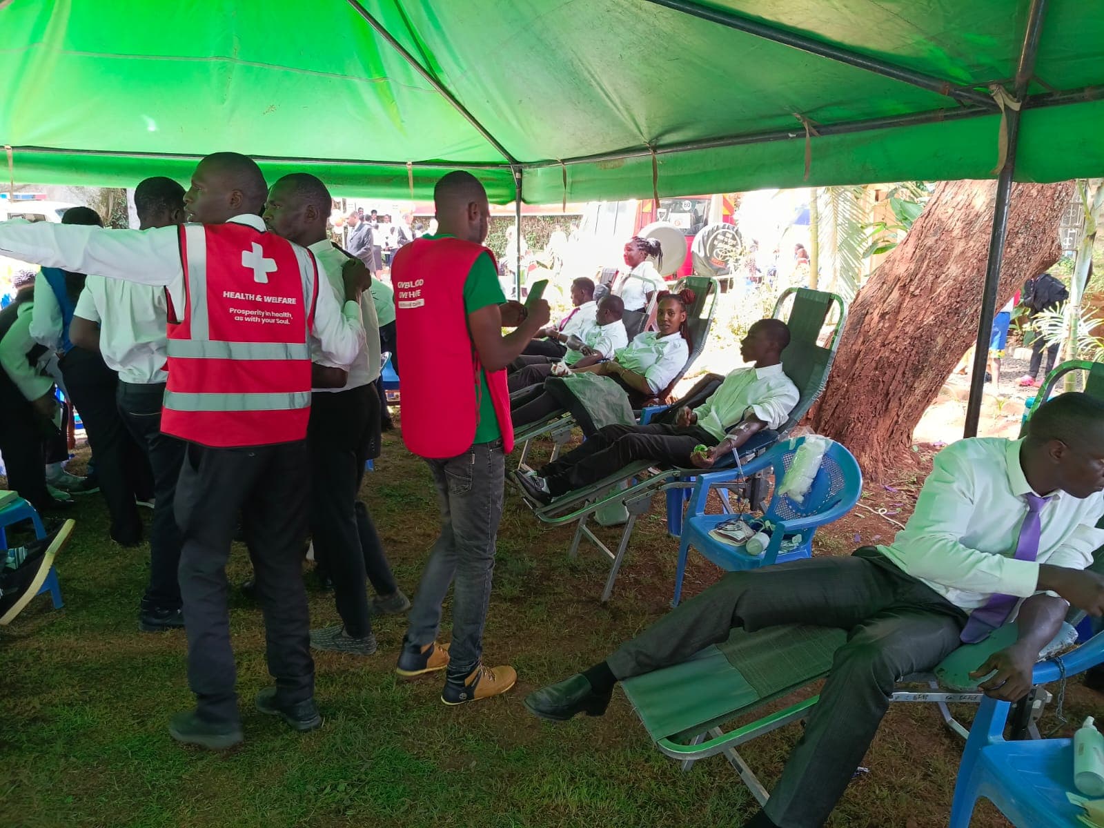 Donor Screening