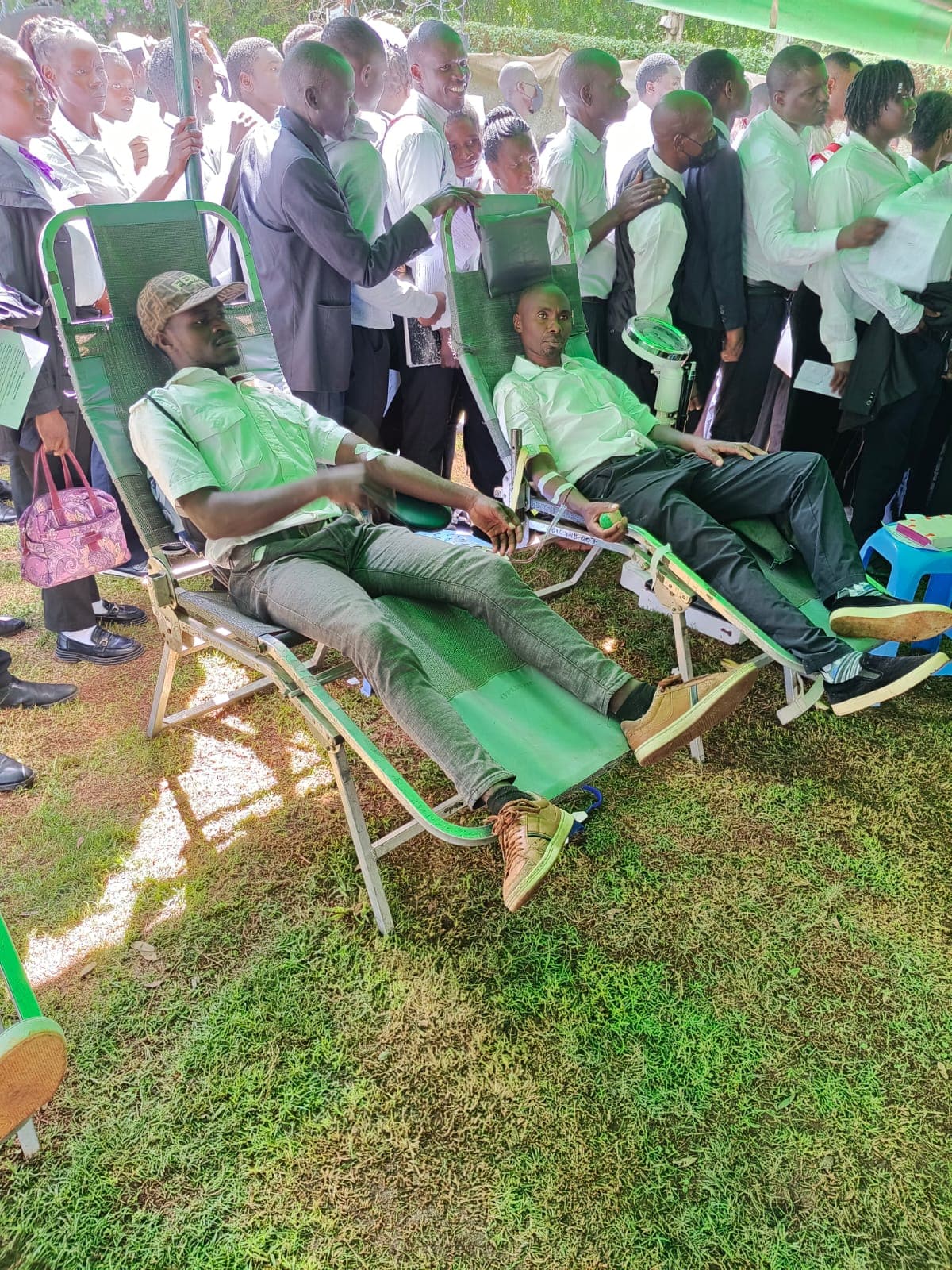 Donors giving blood